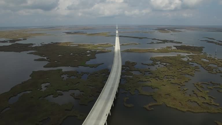 Discover the Edge of the Delta: Adventure and Relaxation at The Venice Inn